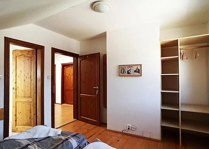 Vanda * Velké Pavlovice